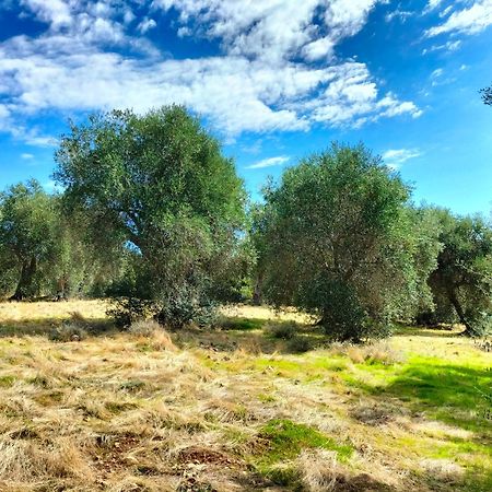 Agriturismo Lillastro Braccagni ภายนอก รูปภาพ