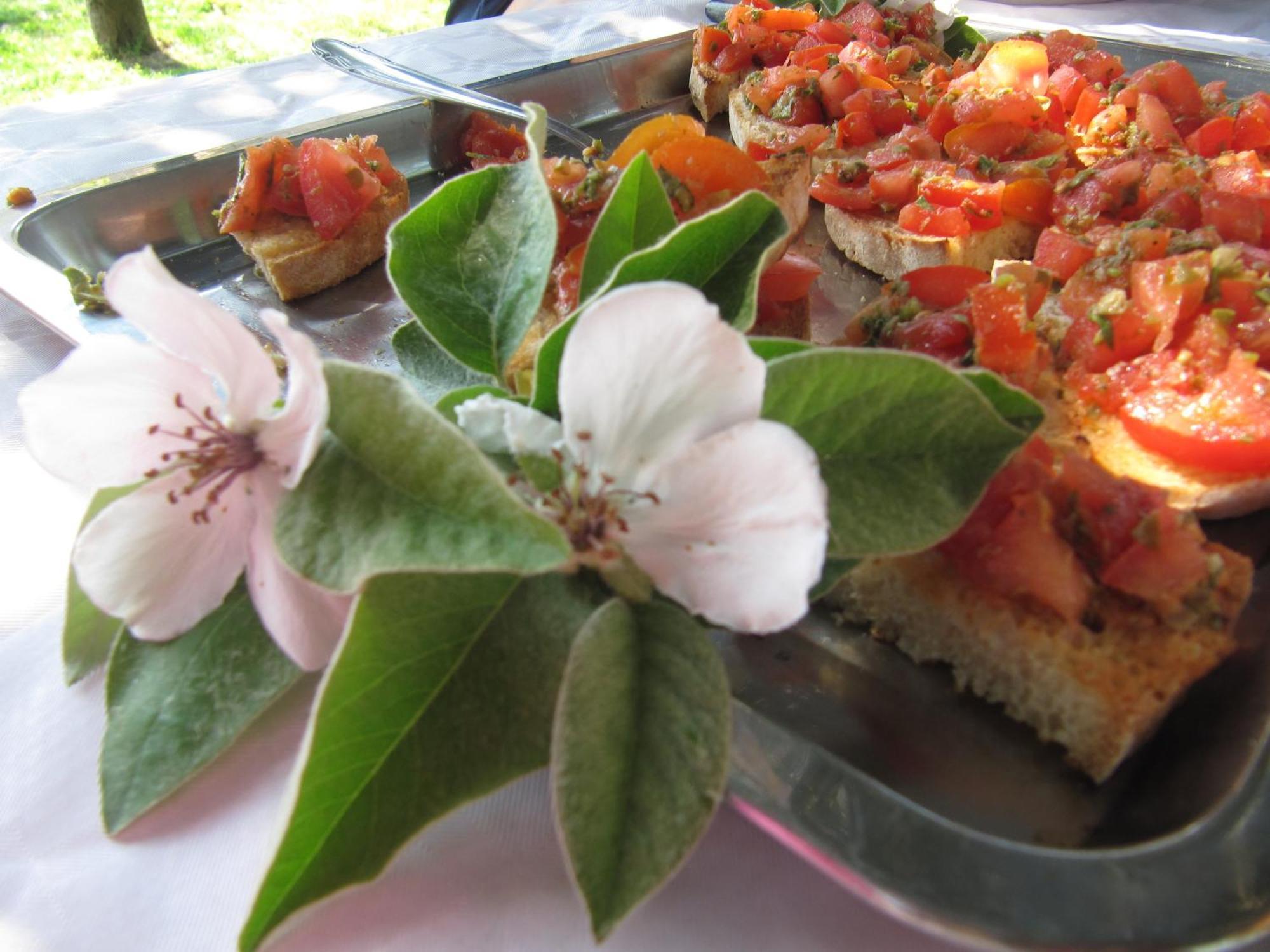 Agriturismo Lillastro Braccagni ภายนอก รูปภาพ