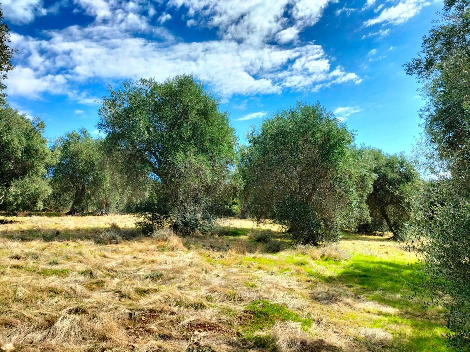 Agriturismo Lillastro Braccagni ภายนอก รูปภาพ