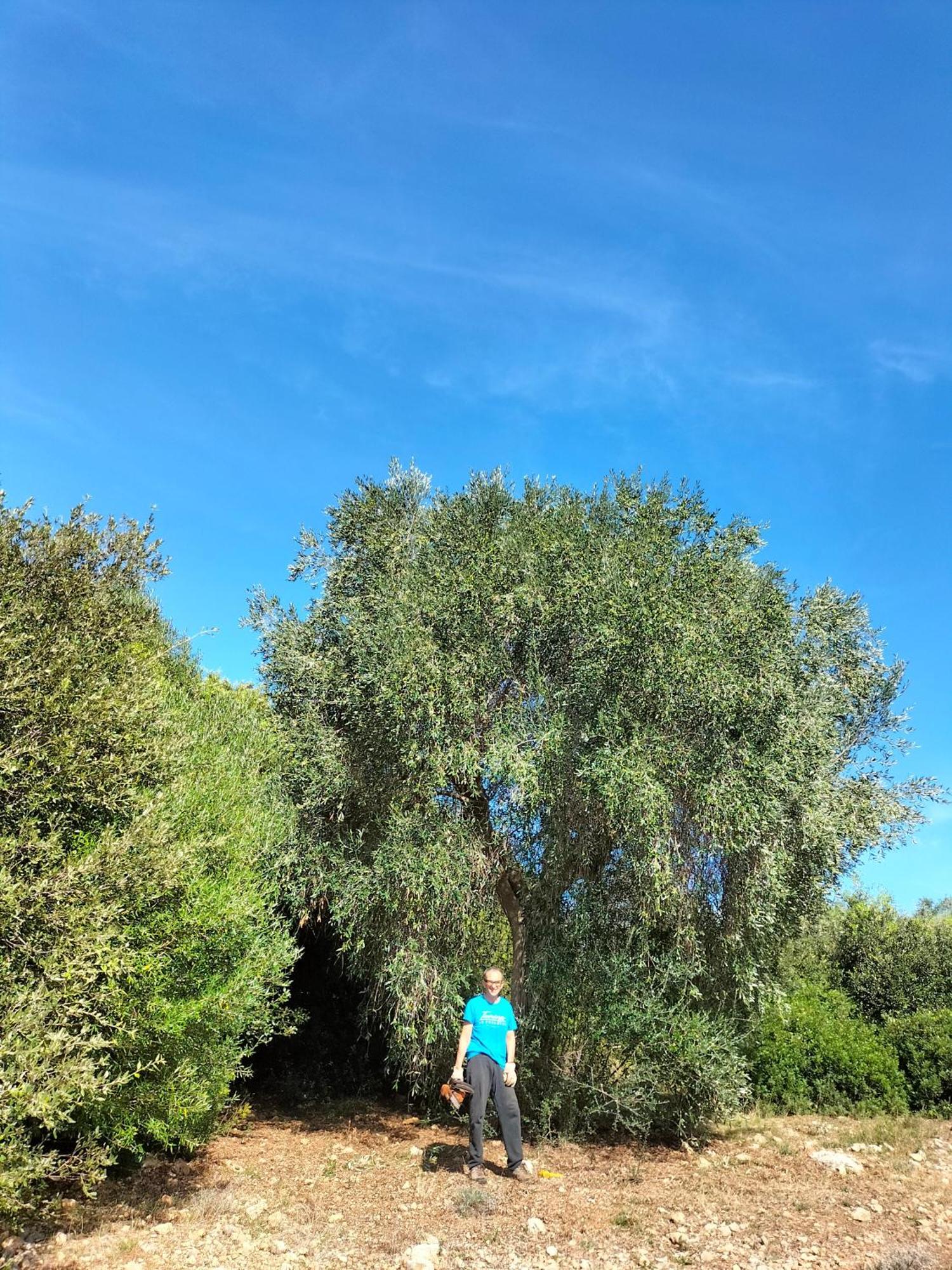 Agriturismo Lillastro Braccagni ภายนอก รูปภาพ
