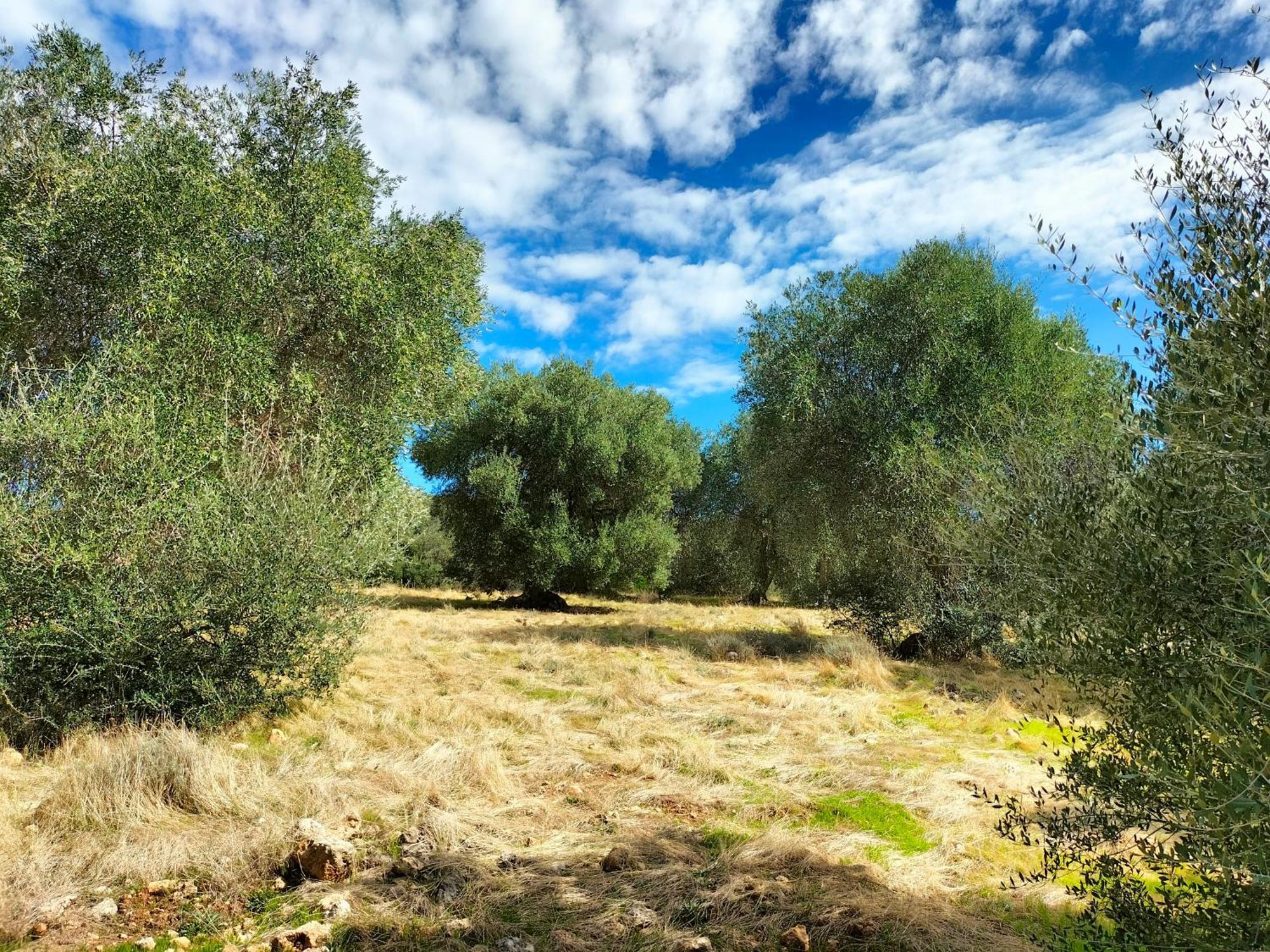 Agriturismo Lillastro Braccagni ภายนอก รูปภาพ