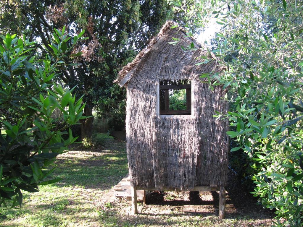 Agriturismo Lillastro Braccagni ภายนอก รูปภาพ